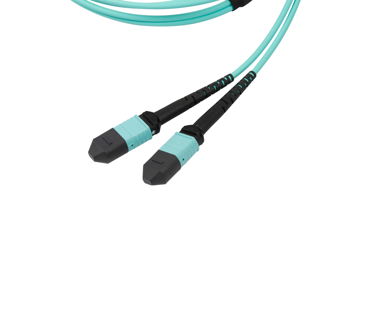 1MPO×2MPO Patch Cord