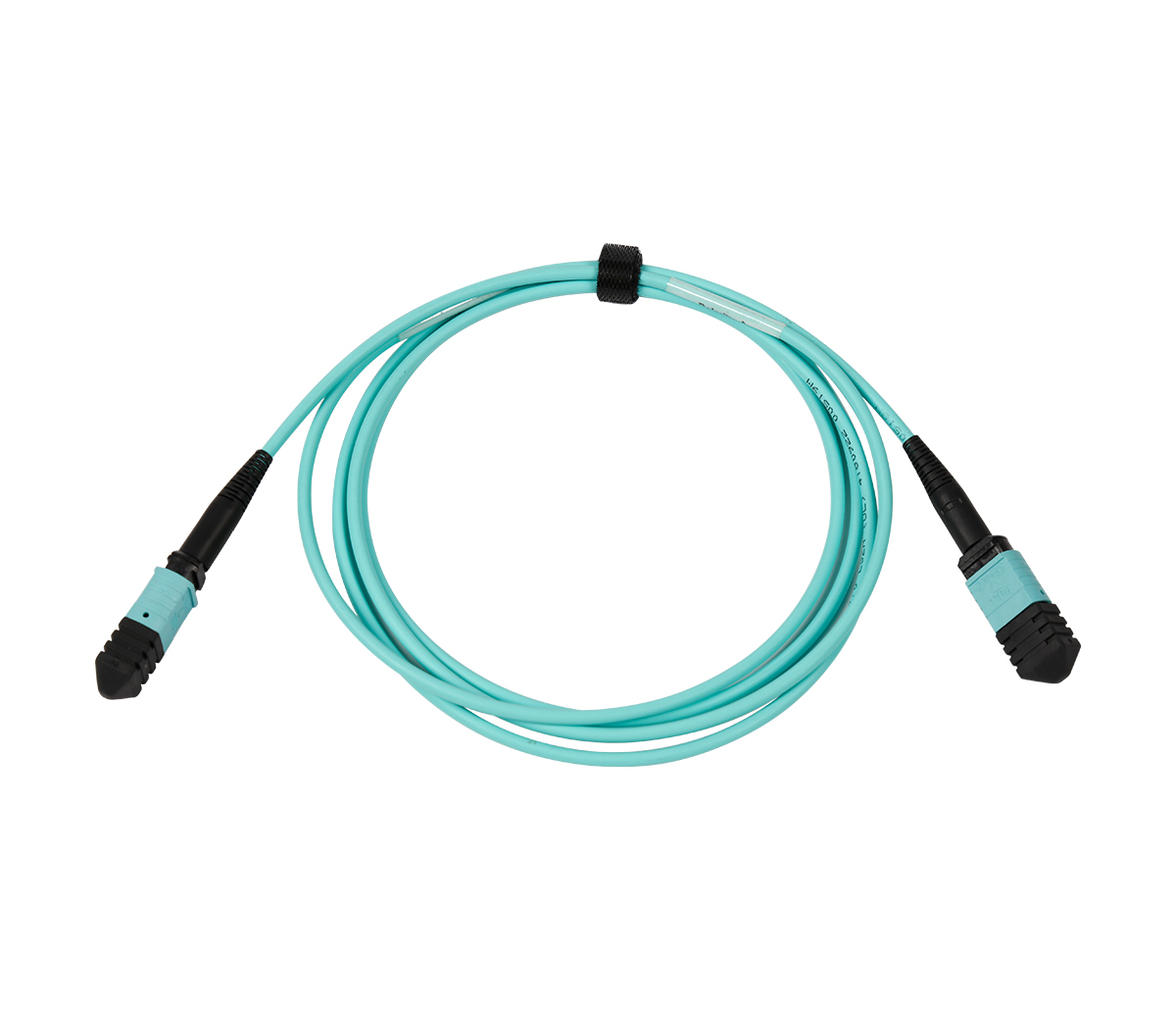 MPO Patch Cord