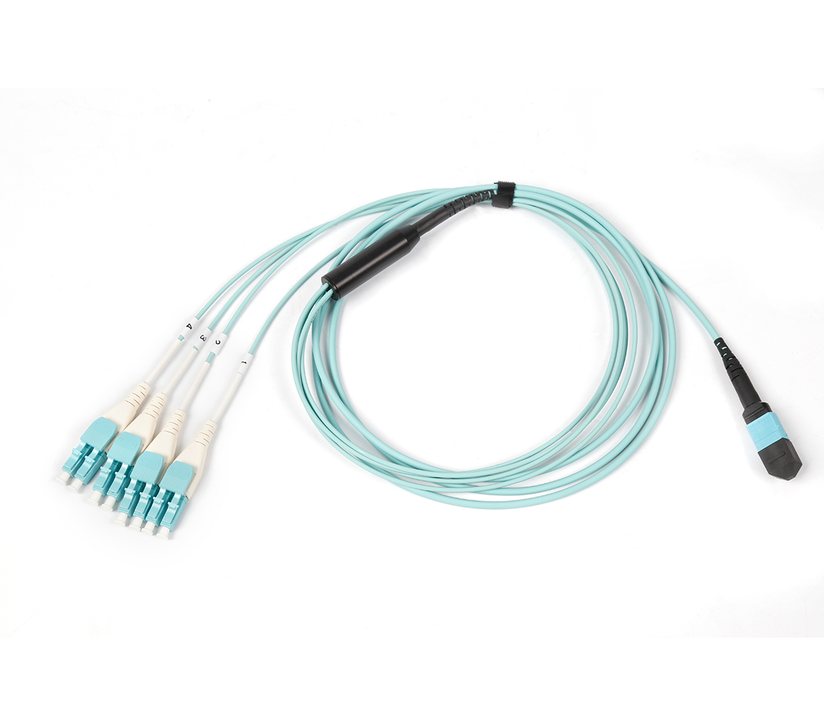 MPO-LC 8F Patch Cord