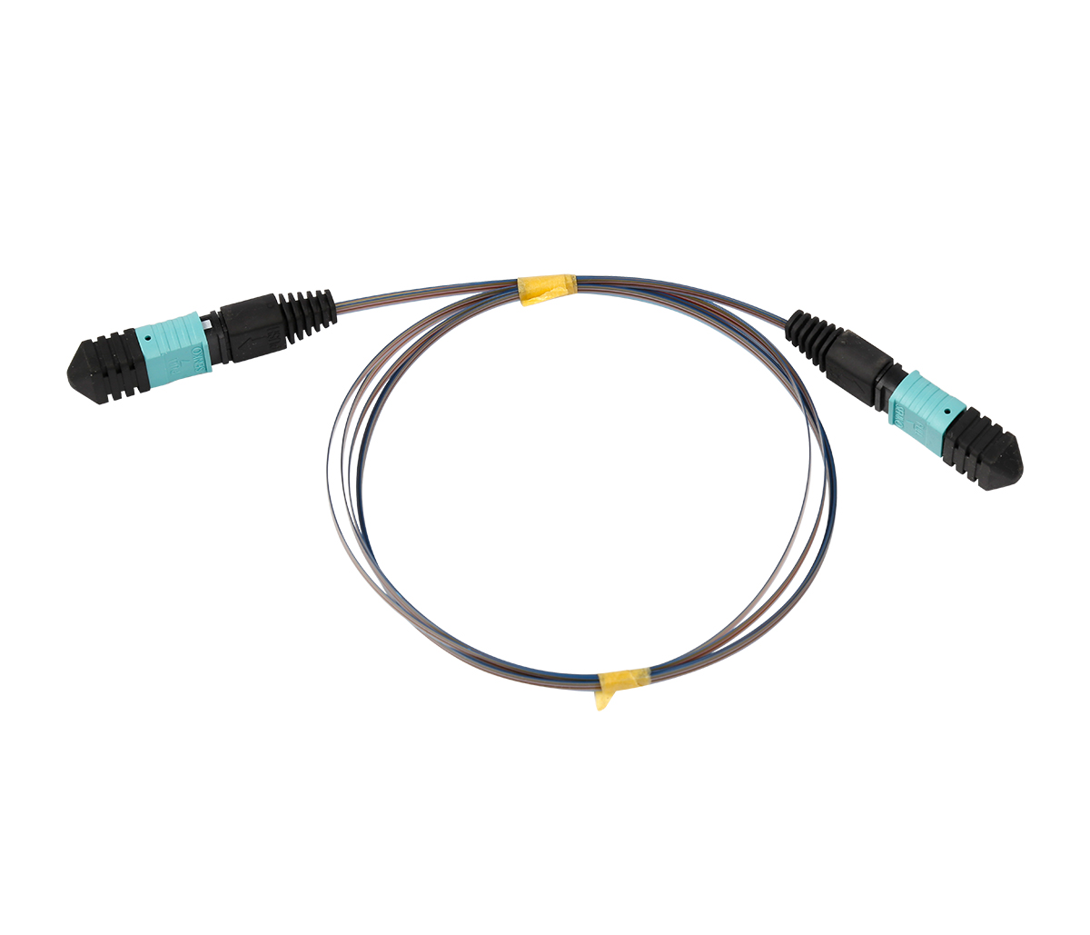 MPO-MPO 12F Patch Cord