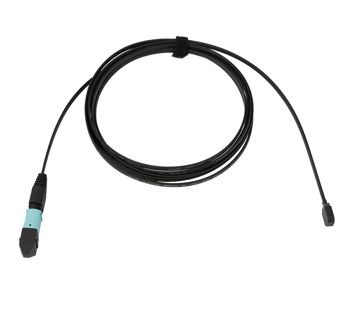 MPO-MT 12F Patch Cord