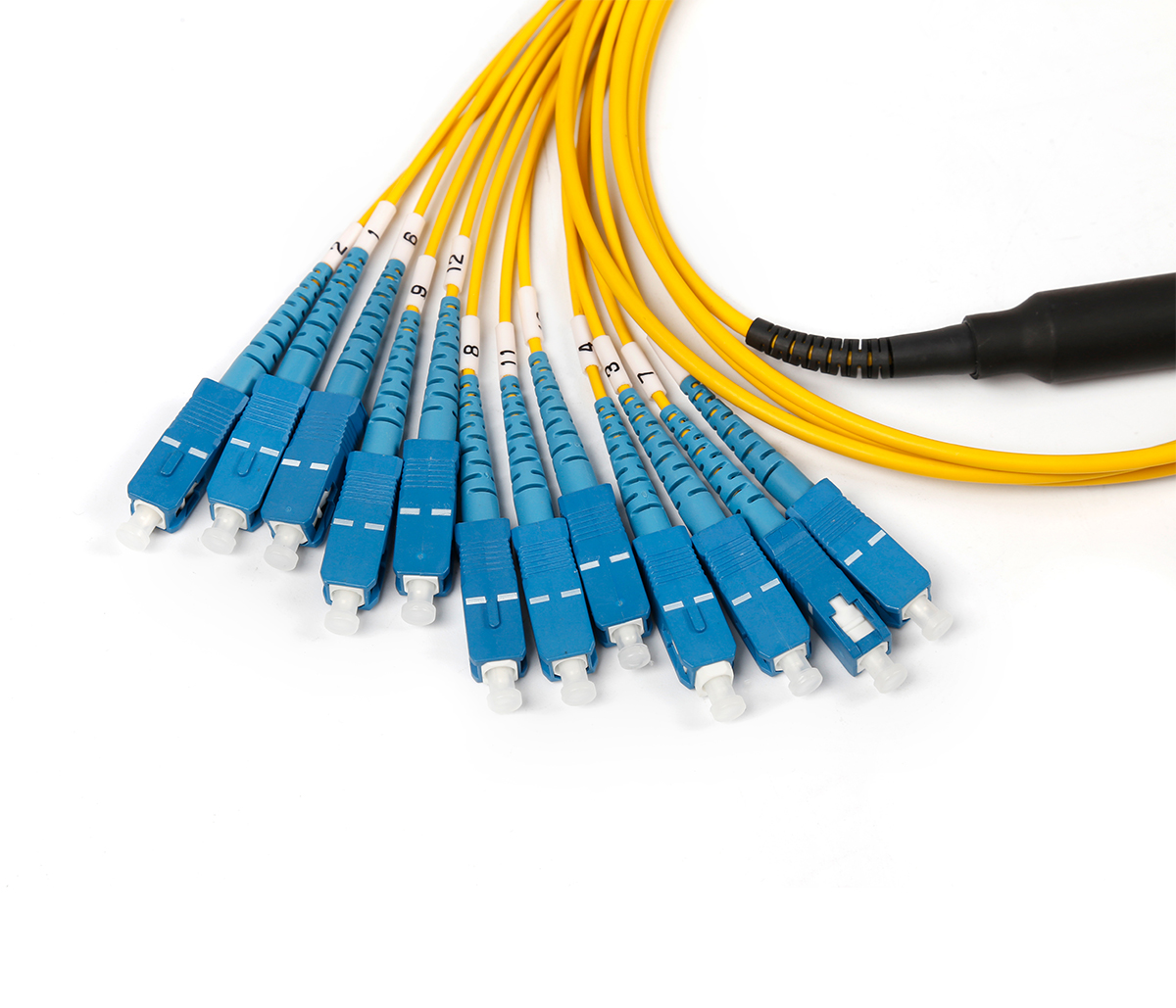 MPO-SC 12F Patch Cord