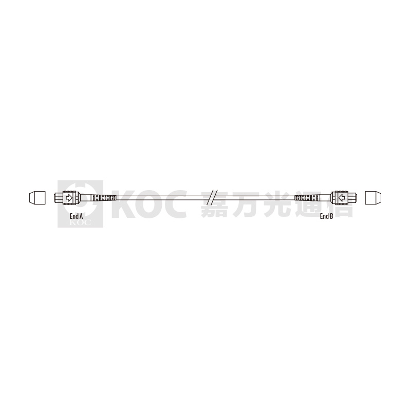 MTP/MPO Polarity Instruction