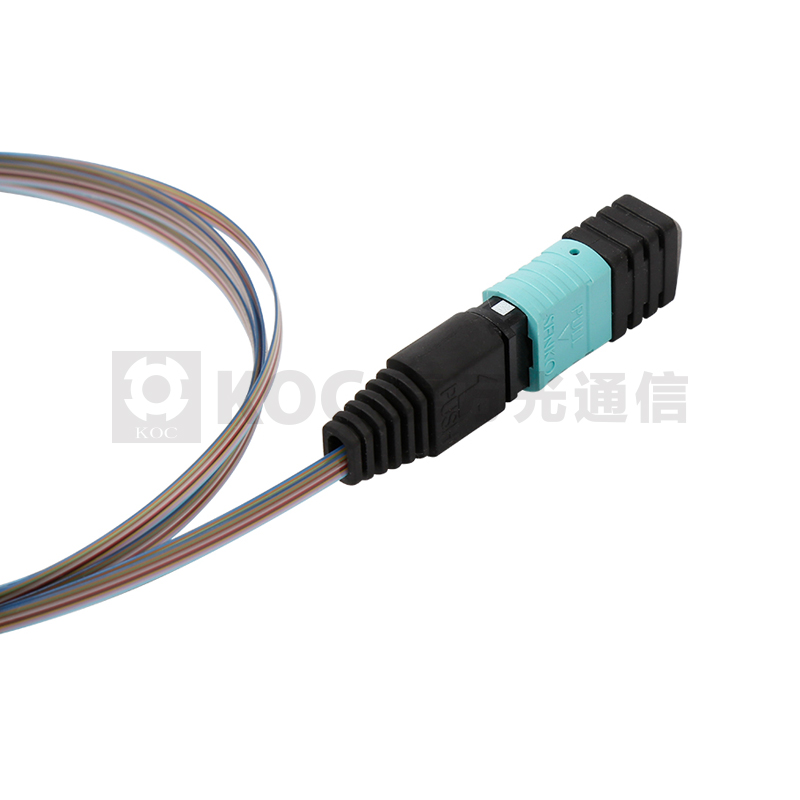 MPO Ribbon Bare Fiber  Pigtail